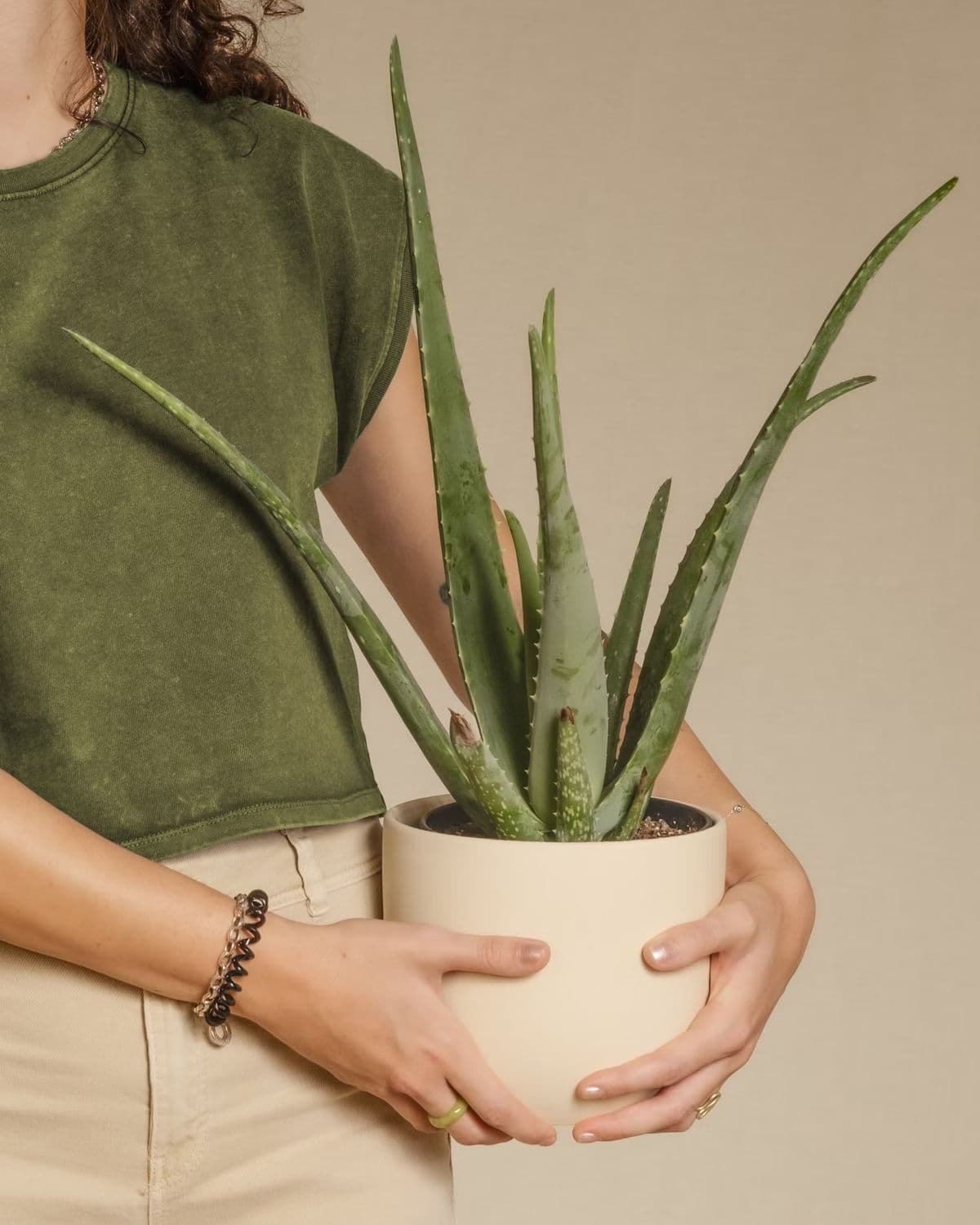 Seasonal Planting Offer